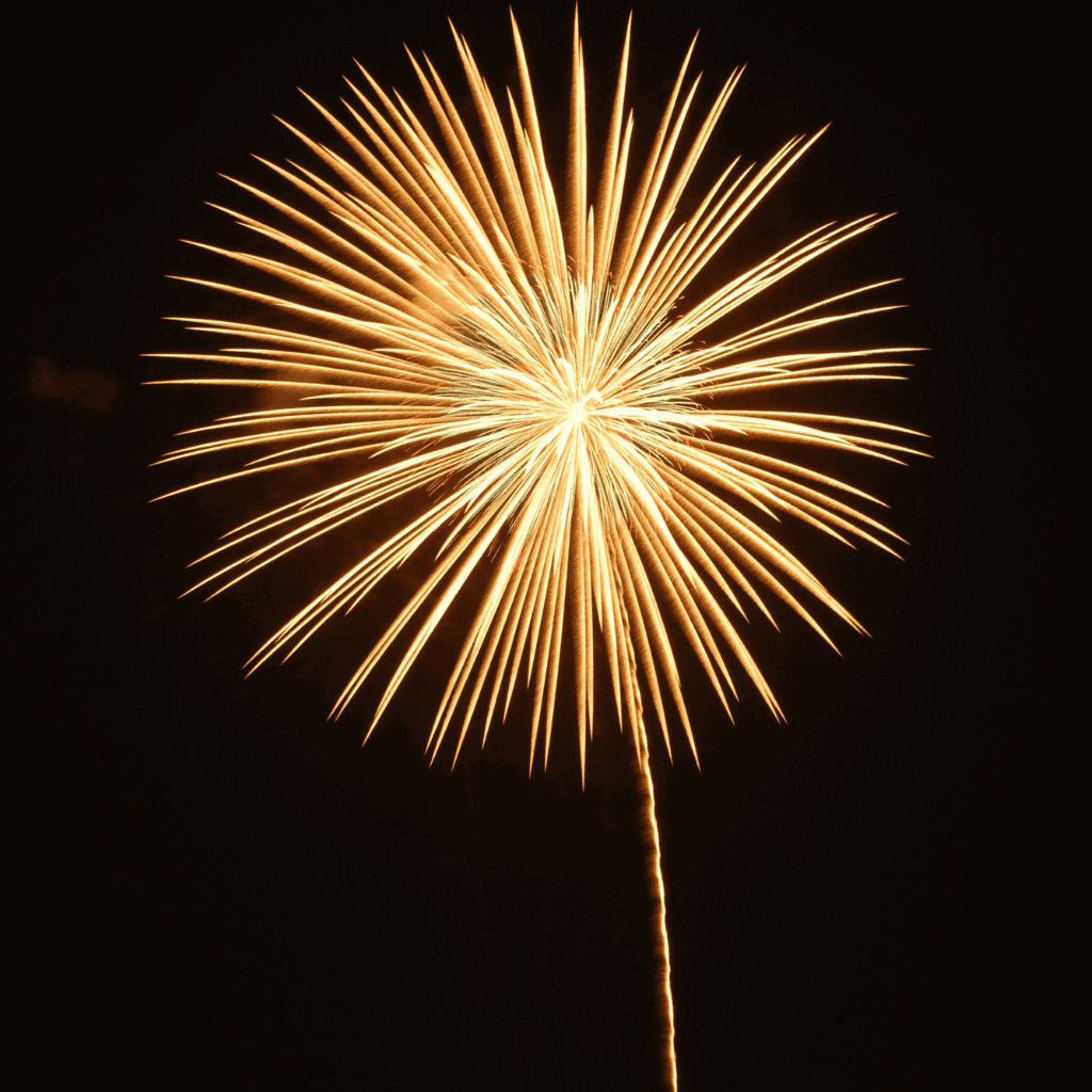 A single firework rocket that launches a large ball of light